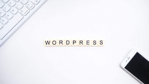 WordPress Content Management System